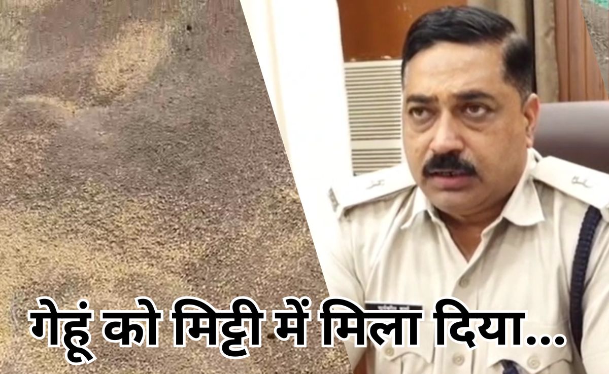 Scam Busted: वेयर हाउस में चल रहा था बड़ा गोरखधंधा, एमएसपी पर खरीदे गेहूं में 75% मिट्टी, सिर्फ 25 % निकला अनाज