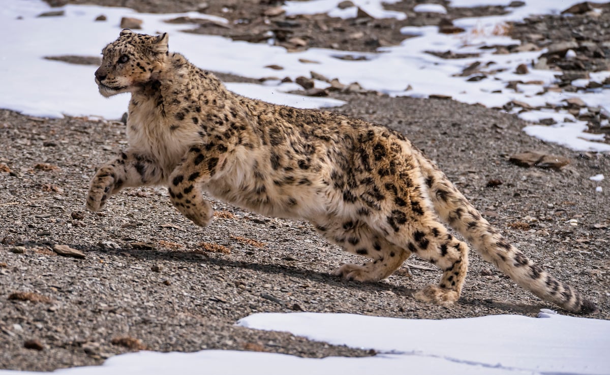 Photo: iStock Photo: iStock