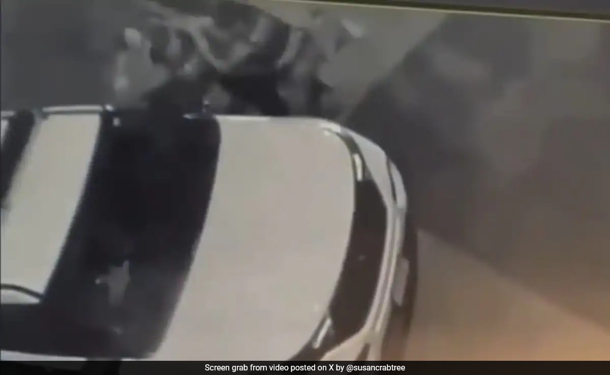 Ню Делхи Двама униформени офицери от тайната служба на САЩ