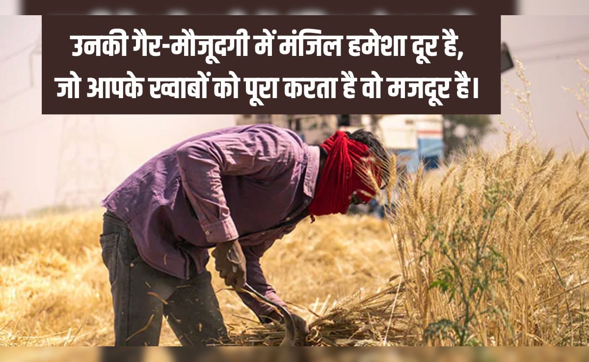 Happy Labour Happy Labour