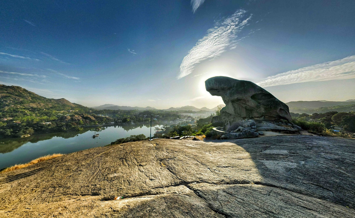 Photo: Unsplash Photo: Unsplash