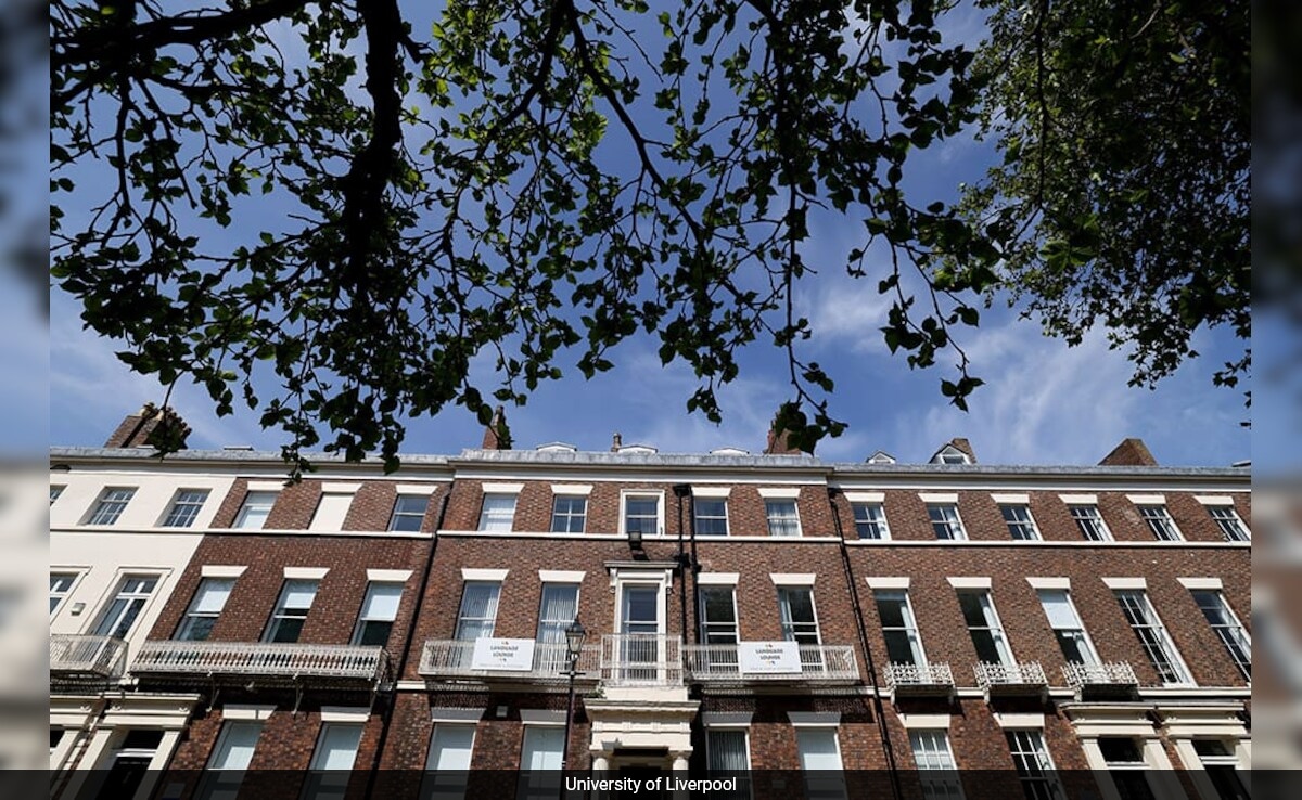 Бързо четене Резюме е генериран от AI прегледано Newsroom Индия