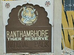 Rajasthan: रणथंभौर में शिकार करने गए 4 शिकारियों में 2 को ग्रामीणों ने दबोचा, वन विभाग ने छोड़ दिए दोनों शिकारी