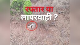मऊगंज में बोलेरो 150 फीट गहरी खाई में जा गिरी,&nbsp;बारात छोड़कर आ रही थी; चालक की मौत