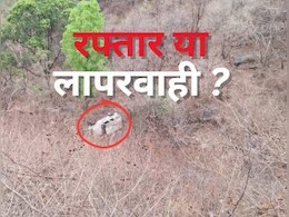 मऊगंज में बोलेरो 150 फीट गहरी खाई में जा गिरी, बारात छोड़कर आ रही थी; चालक की मौत मऊगंज में बोलेरो 150 फीट गहरी खाई में जा गिरी, बारात छोड़कर आ रही थी; चालक की मौत