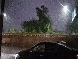 Rajasthan Rains: राजस्थान के कई हिस्सों में शुरू हुई तूफानी बारिश, जगह-जगह पेड़ टूटे, ट्रांसफार्मर गिरे; गाड़ी चलाना भी मुश्किल Rajasthan Rains: राजस्थान के कई हिस्सों में शुरू हुई तूफानी बारिश, जगह-जगह पेड़ टूटे, ट्रांसफार्मर गिरे; गाड़ी चलाना भी मुश्किल