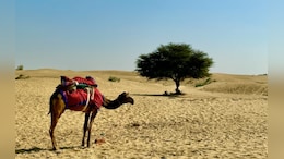 Rajasthan: इस दिन शुरू हो रहा नौतपा, 9 दिन राजस्थान में आग उगलेगा आसमान, चूरू में पारा 46 के पार