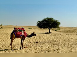 Rajasthan: इस दिन शुरू हो रहा नौतपा, 9 दिन राजस्थान में आग उगलेगा आसमान, चूरू में पारा 46 के पार Rajasthan: इस दिन शुरू हो रहा नौतपा, 9 दिन राजस्थान में आग उगलेगा आसमान, चूरू में पारा 46 के पार