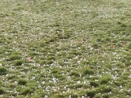Indore Hailstorm: इंदौर में ओलावृष्टि के साथ तूफानी बारिश ! खेतों में बिछ गई बर्फ की चादर, कई इलाकों में बिजली गुल Indore Hailstorm: इंदौर में ओलावृष्टि के साथ तूफानी बारिश ! खेतों में बिछ गई बर्फ की चादर, कई इलाकों में बिजली गुल