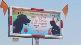 राजस्थान में कुत्ते को जन्मदिन बधाई वाली लगी होर्डिंग, लिखा- हैप्पी बर्थडे छुटकू भैया