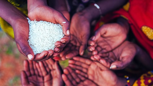 ब्याज का बोझ, सड़ा अनाज और किसानों की अनिश्चितता, मध्यप्रदेश में खाद्य संकट की तस्वीर