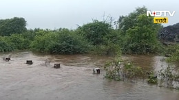 Maharashtra Rain: पावसाने झोडपलं, बळीराजाला रडवलं!  34 हजार हेक्टरवरील पिके बाधीत, पाहा रिपोर्ट