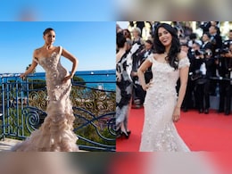 Cannes 2025: Alia Bhatt's Schiaparelli Gown Reminds Fans Of Mallika Sherawat's 2017 Look Cannes 2025: Alia Bhatt's Schiaparelli Gown Reminds Fans Of Mallika Sherawat's 2017 Look