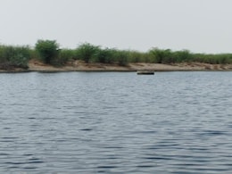 Rajasthan: 'काला पानी' ने किसानों को किया परेशान, लूणी नदी में प्रदूषण से खड़ा हो गया संकट Rajasthan: 'काला पानी' ने किसानों को किया परेशान, लूणी नदी में प्रदूषण से खड़ा हो गया संकट
