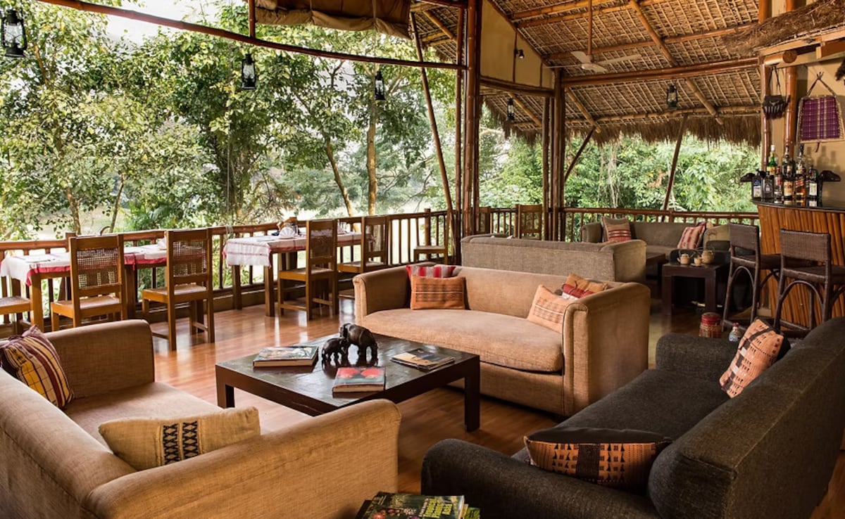 Photo: Courtesy of Diphlu River Lodge Photo: Courtesy of Diphlu River Lodge