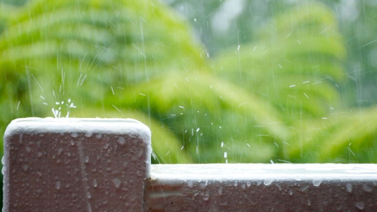Weather Alert : एकीकडे उन्हाची काहिली, दुसरीकडे अवकाळी; मुंबई, पुण्यासह 'या' जिल्ह्यांना मुसळधार पावसाचा इशारा