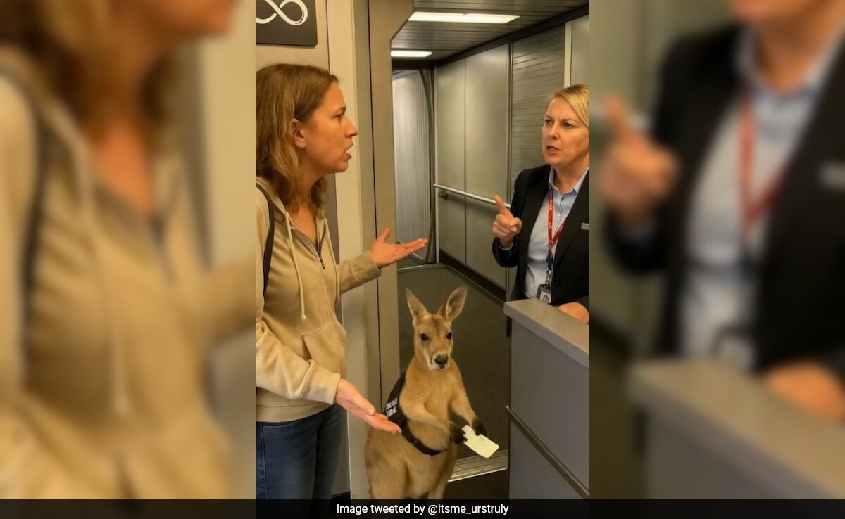 бързо четене Резюме е генериран от AI прегледано Newsroom Вирусно