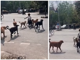 आवारा कुत्ते की पीठ पर बैठी बच्ची और निकल पड़ी सवारी... वीडियो देख लोग हैरान आवारा कुत्ते की पीठ पर बैठी बच्ची और निकल पड़ी सवारी... वीडियो देख लोग हैरान