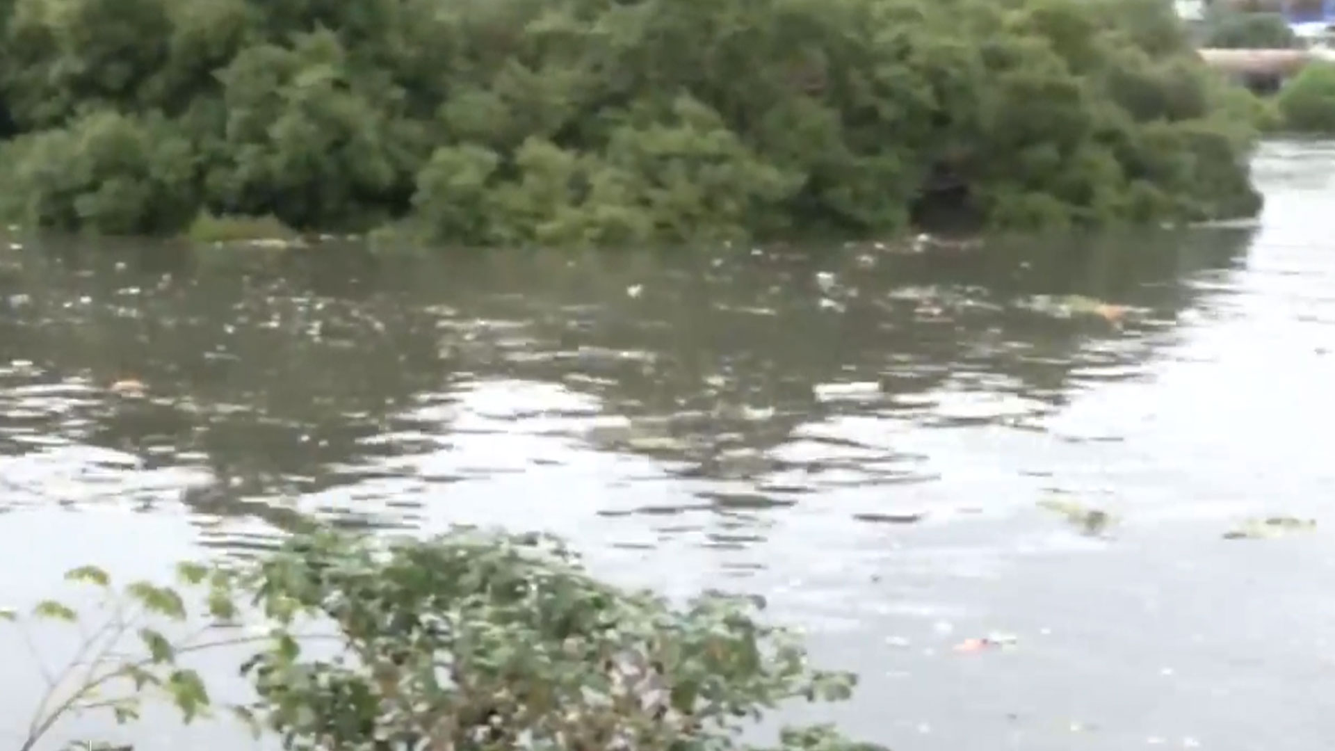 Mumbai's Mithi River Desilting Hits Roadblock Amid Scam Allegations