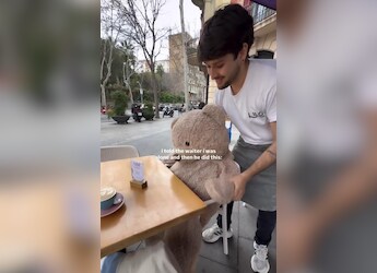 Viral Now: Woman Dining Alone At Spanish Cafe Gets A Cute And Unexpected Companion, Internet Approves Viral Now: Woman Dining Alone At Spanish Cafe Gets A Cute And Unexpected Companion, Internet Approves