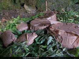 पहलगाम अटैक के बाद एक्शन में सेना, पुंछ में आतंकी ठिकाने का भंडाफोड़, 5 विस्फोटक बरामद पहलगाम अटैक के बाद एक्शन में सेना, पुंछ में आतंकी ठिकाने का भंडाफोड़, 5 विस्फोटक बरामद