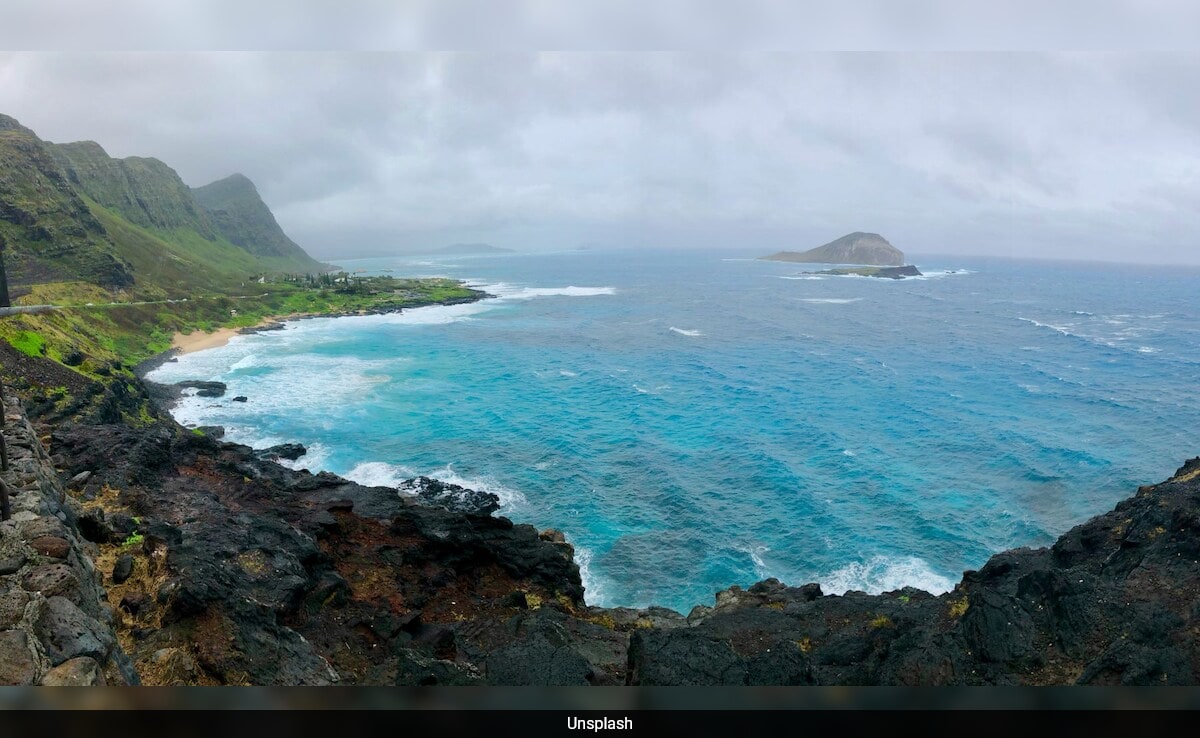 бързо четене Резюме е генериран от AI прегледано Newsroom Учените