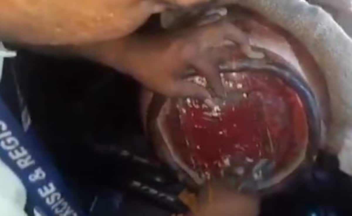 Latest and Breaking News on NDTV