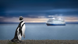 Cooler Shores Ahead: 5 Of The Best European Cruise Trips For A Chill Summer Escape