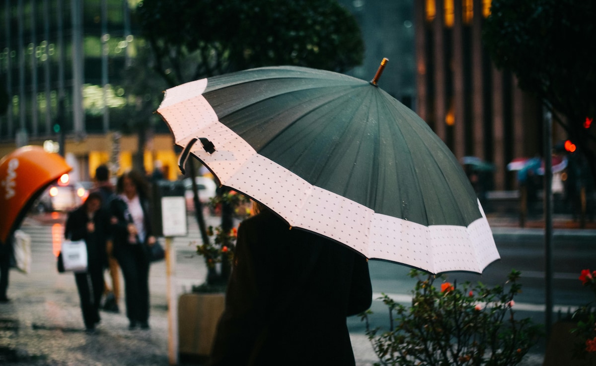 Latest and Breaking News on NDTV Latest and Breaking News on NDTV