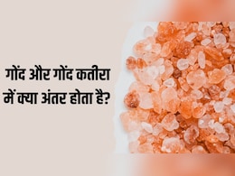 Gond vs Gond Katira: गोंद और गोंद कतीरा में क्या अंतर होता है? न्यूट्रिशनिस्ट से जान लें गर्मी में किसे खाने से मिलते हैं सबसे ज्यादा फायदे Gond vs Gond Katira: गोंद और गोंद कतीरा में क्या अंतर होता है? न्यूट्रिशनिस्ट से जान लें गर्मी में किसे खाने से मिलते हैं सबसे ज्यादा फायदे