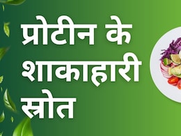 Protein Rich Veg Food: शाकाहारी लोगों के लिए प्रोटीन के 3 शानदार स्रोत, अंडा खाने की नहीं पड़ेगी जरूरत Protein Rich Veg Food: शाकाहारी लोगों के लिए प्रोटीन के 3 शानदार स्रोत, अंडा खाने की नहीं पड़ेगी जरूरत