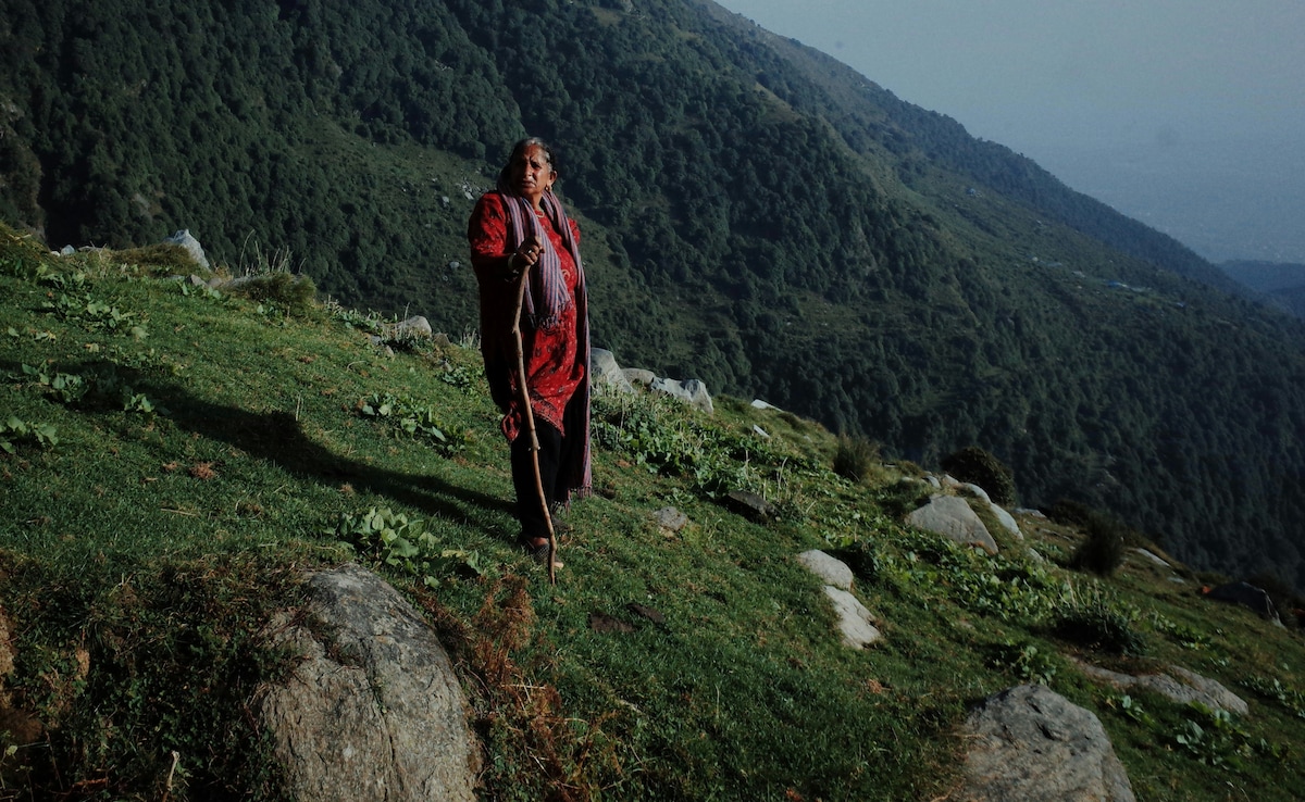 Photo: Unsplash Photo: Unsplash
