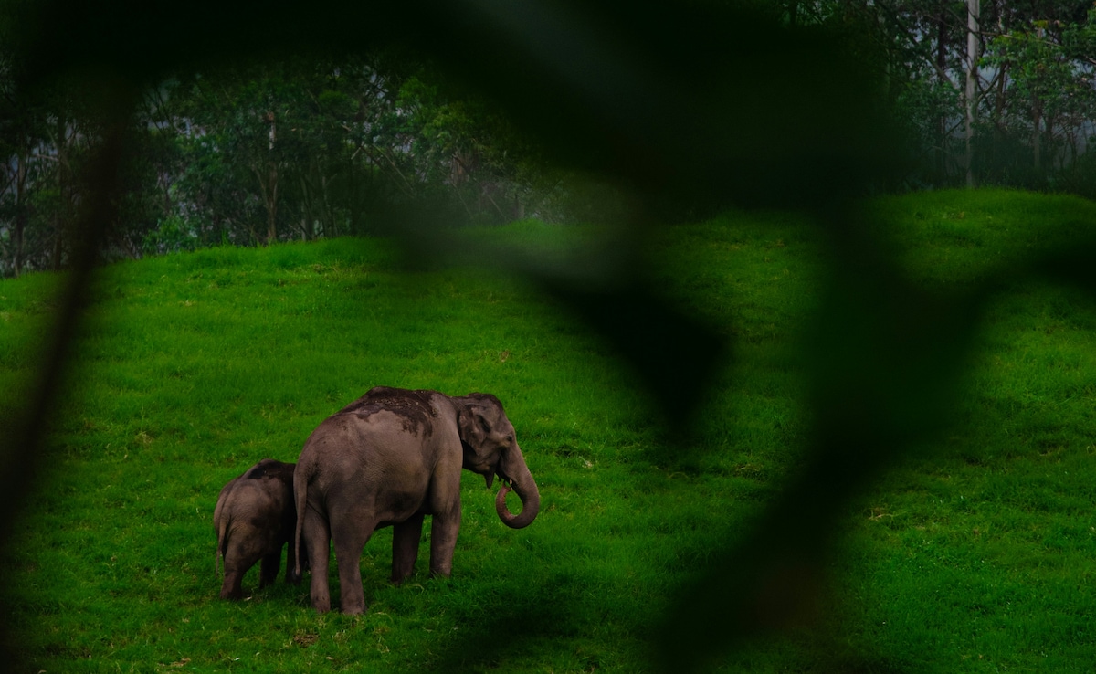 Photo: Unsplash Photo: Unsplash