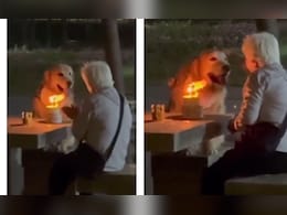 दादी ने मनाया डॉगी का बर्थडे, प्यार भरी नजरों से टकटकी लगाए बैठा रहा, वीडियो देख फूट पड़े लोगों की आंखों से आंसू दादी ने मनाया डॉगी का बर्थडे, प्यार भरी नजरों से टकटकी लगाए बैठा रहा, वीडियो देख फूट पड़े लोगों की आंखों से आंसू