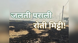 MP के किसान ध्यान दें ! पराली जलाने से कई इलाकों में 44% घटी उर्वरा शक्ति, सरकार ने उठा लिए ये सख्त कदम