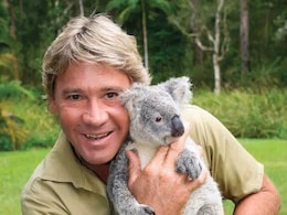 "Could Have Been A Steve Irwin": 16-cm Stingray Barb Pierces Woman's Arm