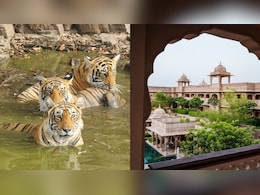 Why Ranthambore National Park Is So Famous And The Best Places To Stay In Why Ranthambore National Park Is So Famous And The Best Places To Stay In