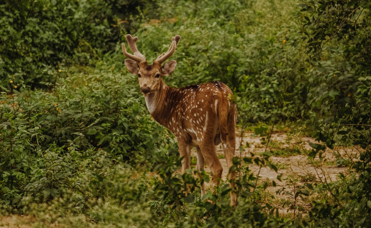 Photo: Unsplash Photo: Unsplash