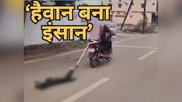 Animal Cruelty : युवकों ने पार की क्रूरता की हदें, जिंदा कुत्ते को बाइक से बांधकर कई KM तक घसीटा
