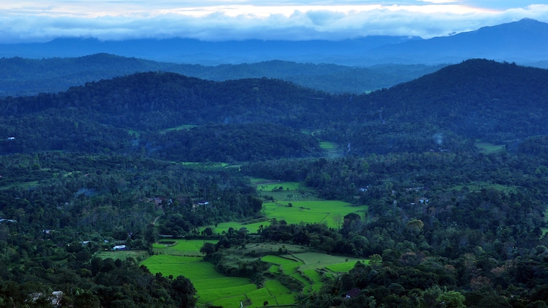 कूर्ग घूमने का बेस्ट महीना कौनसा है? जानिए Coorg के लिए कितना हो बजट, कहां-कहां घूमें, ठहरने के कितने दिन होंग