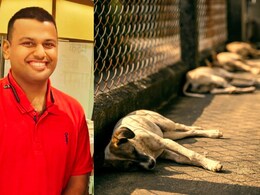 Pune Crime : 12 भटक्या कुत्र्यांवर विषप्रयोग प्रकरण : गुगलवरही सर्च केलं, सोसायटीतील तरुणाला अटक