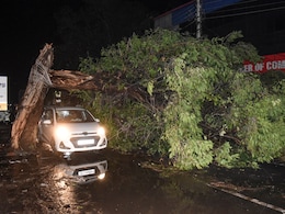 बिहार के सीवान में आंधी-तूफान का बरसा कहर, 7 लोगों की हुई मौत बिहार के सीवान में आंधी-तूफान का बरसा कहर, 7 लोगों की हुई मौत