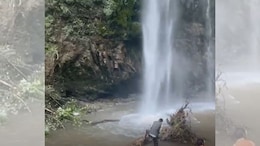 2 Killed As Tree Falls At A Waterfall In Uttarakhand