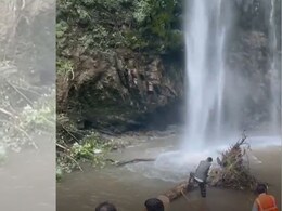 2 Killed As Tree Falls At A Waterfall In Uttarakhand 2 Killed As Tree Falls At A Waterfall In Uttarakhand