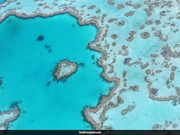Will Surging Sea Levels Kill The Great Barrier Reef? Here's What Might Help Will Surging Sea Levels Kill The Great Barrier Reef? Here's What Might Help