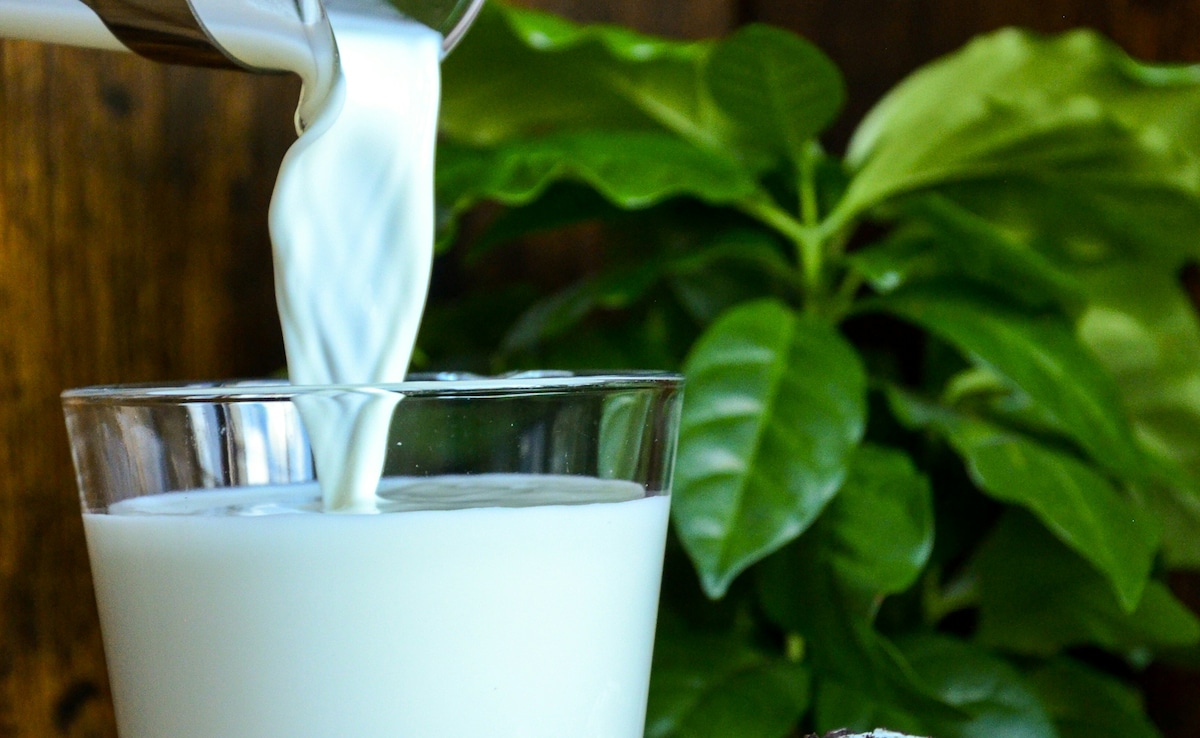 Latest and Breaking News on NDTV Latest and Breaking News on NDTV