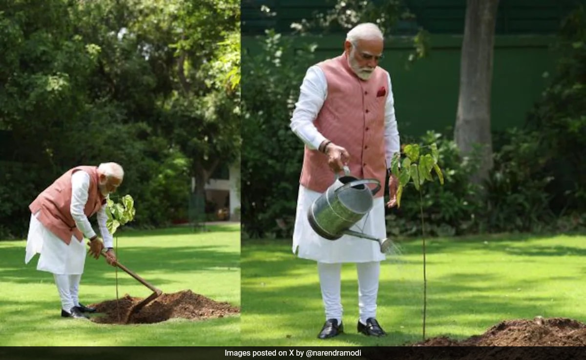 PM Modi Plants Sindoor Fapling, символ на женската доблест, вдъхновение 