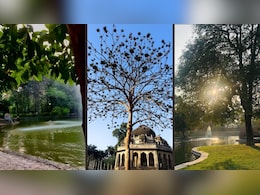 बारिश के बाद Romantic हुआ मौसम, पार्टनर के साथ घूम आएं दिल्ली-NCR की ये 10 जगह बारिश के बाद Romantic हुआ मौसम, पार्टनर के साथ घूम आएं दिल्ली-NCR की ये 10 जगह