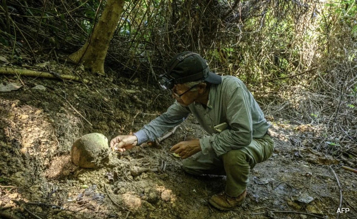 Япония Трекинг през кал и скали във влажната джунгла на
