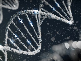 Controversy Erupts As Scientists Start Work To Create Artificial Human DNA Controversy Erupts As Scientists Start Work To Create Artificial Human DNA